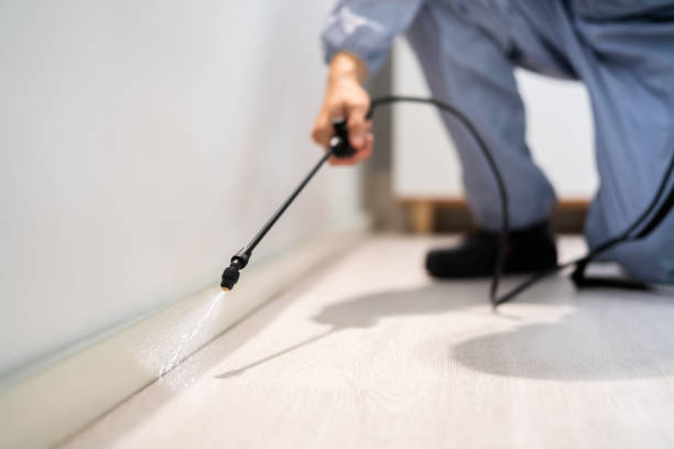 Bed Bug Pre-Treatment Preparation Assessment in Clinton