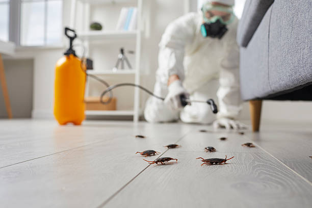 Post-Treatment Bed Bug Interceptor Monitoring in Clinton