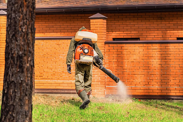 Bed Bug Clearance Verification and Documentation in Clinton